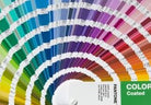 Colore Tinta - Visionsafe